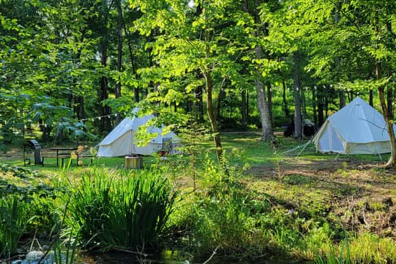 Katie's Creekside 2 Glamp Site @ Big Rock Creek - Image 1
